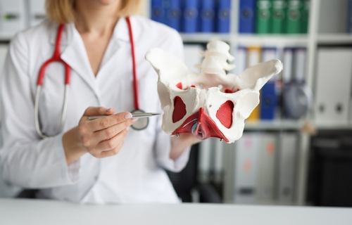 Imagine cu planseul pelvin