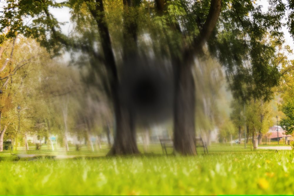 Viziunea afectata de degenerescenta maculara