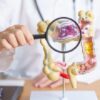 Medic ține un model anatomic al colonului uman și o lupă, ilustrând afecțiuni ale intestinului gros precum cancerul colorectal, colita ulcerativă, diverticulita, sindromul de colon iritabil și bolile sistemului digestiv.